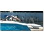 SR Smith Diving Boards (White)